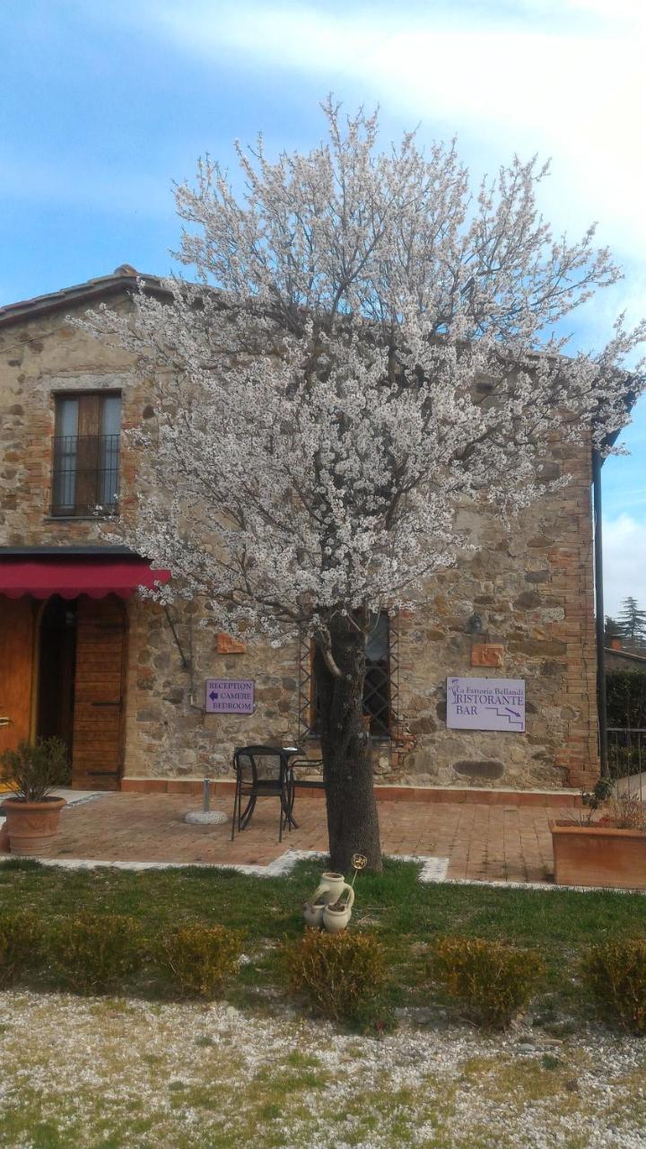 Country House La Fattoria Bellandi Contignano Eksteriør bilde